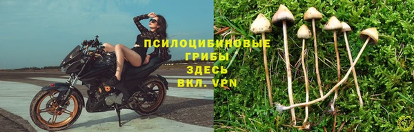 гидропоника Арсеньев