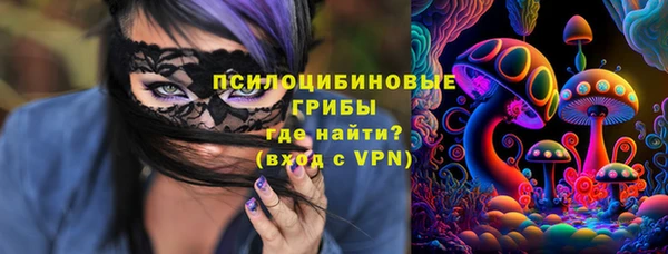 ГАЛЛЮЦИНОГЕННЫЕ ГРИБЫ Аркадак