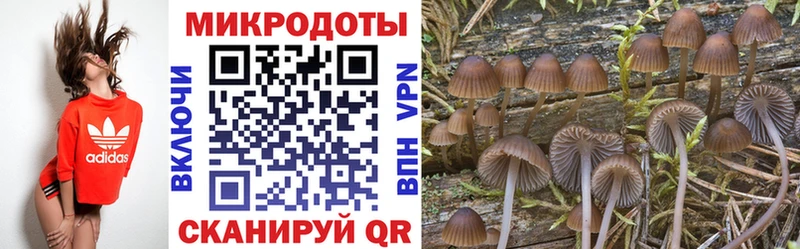 MEGA онион  Краснослободск  Галлюциногенные грибы Psilocybe 